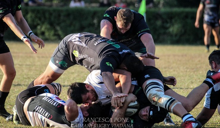 I Caimani Rugby Viadana sfidano in trasferta il CUS Ferrara